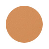 enligten-plus-#2-swatch