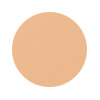 enligten-plus-#0-swatch