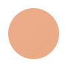 enligten-plus-#1-swatch