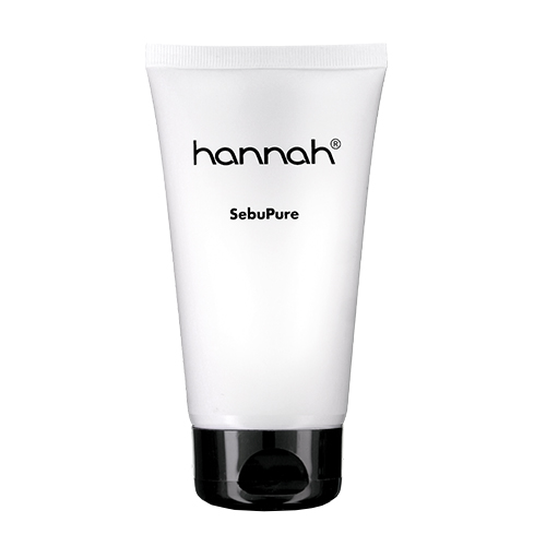 sebupure-van-hannah
