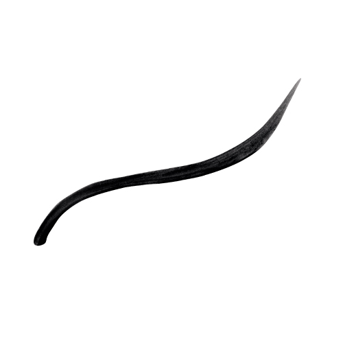 liquid-eyeliner-jane-iredale-kleur