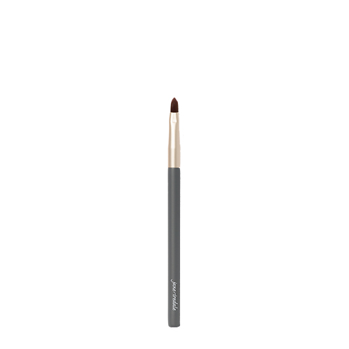 Lip Brush